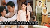 【完結】一覺醒來,她穿成了懷孕6個月的惡毒前妻,前世,她使勁渾身解數嫁入豪門,家族破落後被迫下鄉,她不顧一家人的哀求與保證,打胎離婚一氣呵成,看著眼前帥到掉渣的老公她真想給自己兩個耳光,簡直暴殄天物!