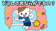 【アニメ 絵本読み聞かせ】おならのしくみ〜どうしておならがでるの?〜