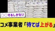 コメ事業者「待てば上がる」