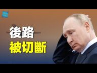 國際法庭發逮捕令 普京陷險境?川普稱將被捕 馬斯克:他將再次當選. 主播:婉兒【希望之聲粵語頻道-新聞熱點】