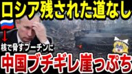 【ゆっくり解説】ロシアの核の脅しに中国も遂にブチギレ!兵器の輸出入まで中国に制御されてしまい、中国の属国となってしまう…