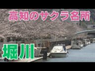 勤務する飲食店から現金約50万円を盗んだ疑いで高知市の20代の男を逮捕【高知】 #news #freefire