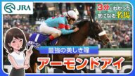 【3分でわかる】アーモンドアイ・最強の美しき瞳 | JRA公式