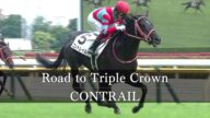 【6戦無敗 全レース直線まとめ】コントレイル 三冠への道 《CONTRAIL Road to Triple Crown》