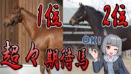 最も期待されている馬【1位と2位を紹介】2頭とも怪物ドゥラメンテ産駒