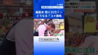 「備蓄米」なくなったらコメ価格どうなる? 小泉大臣「基本的には増産」方針も…ホントにできる?【Nスタ解説】|TBS NEWS DIG #shorts