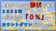 農家が田んぼの惨状を暴露 食料自給率0%へのカウントダウンが始まった 【食糧危機】【食糧備蓄】