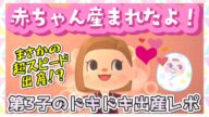 【あつ森アニメ】第3子が産まれました!超絶スピード出産なドキドキ出産レポ【あつまれどうぶつの森】