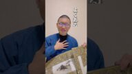 失敗しない七条袈裟の選び方...裏地やトータルコーディネートの意識も大切です
