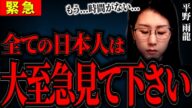 【平野雨龍】いずれ私は●されるので、最後まで命をかけてお話します...中国の侵略&爆増する帰化人を止められるのは私だけ。