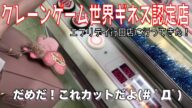 【世界ギネス認定店】エブリデイ 世界一クレーンゲームが多いゲーセンで遊んできた!【UFOキャッチャー】