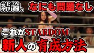 姫ゆりあがフューチャーベルトへの挑戦を表明して大反発&反省した事件。一体なにが問題だったの?