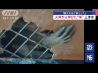 「震えるほど怖かった」天井から伸びた“手”正体は【スーパーJチャンネル】(2025年2月3日)