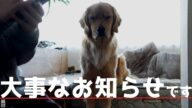 今後の配信について大事なお知らせがあります