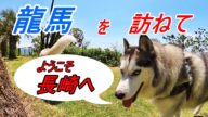 龍馬を訪ねて長崎へ【前編】テキサスロングホーン