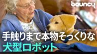 もふもふが可愛い。手触りまで本物そっくりな犬型ロボット「Tombot」