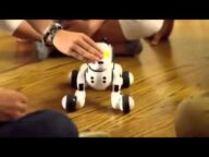 脚車輪機構の犬型ロボットトイ ハロー!ズーマー Hello! Zoomer