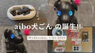 aibo犬ごんの誕生‼︎ 開封〜誕生まで… SONY 犬型ロボットaiboエスプレッソエディション【Episode 004】