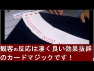マジシャンの度肝を抜いたテクニック不要で驚きのトランプマジックができる魔法のトランプ!