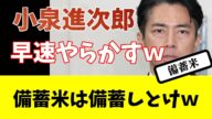 小泉進次郎さっそくやらかすw備蓄米は備蓄しとけよw