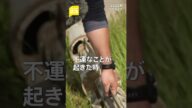 「中東よりも怖かったのは…」23ジャーナリスト・須賀川拓の “一番 印怖かった現場”【news23】#shorts