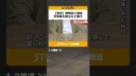 【独自】神輿担ぐ団体 見物客を蹴るなど暴行 「5~6人に蹴られた」傷害事件として捜査 札幌・狸小路商店街 #shorts