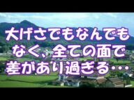 【海外の反応】外国人「日本は100年先にいる」 日本の農村に 感銘を受ける中国の人々! 「大げさでもなんでもなく、 全ての面で差があり過ぎる・・・」
