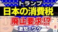 【緊急解説】トランプ、消費税廃止を要求!?財務省どうする?消費税は関税より酷い?ワケ【還付金・輸出免税・補助金/日本・海外の税制/アメリカ大統領・小売売上税/欧州・VAT付加価値税/わかりやすく】