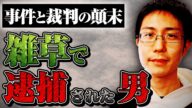 【雑草で酔う】自生する植物でトリップする方法を出版したら逮捕された青井さんに事件と裁判について聞きました