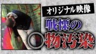 【衝撃映像】危険すぎる〇物が使い放題の特区に潜入【クレイジージャーニーのショック再び】