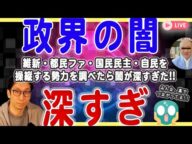 【政界の闇を斬る❗️】維新・都民ファ・国民民主・自民を操縦する勢力を調べたら闇が深すぎた😱
