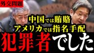 【岩屋毅】岩屋外務大臣のIR汚染疑惑に杉尾秀哉がブチギレ!この方では国民を守れません...【石破茂/国会中継】