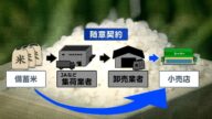 備蓄米「随意契約」申請開始 福岡のディスカウントストアも申請「5キロ1000円台を目指す」