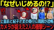 【上皇后と紀子さまの信じられないイジメ】雅子さまを襲った恐怖の大事件の真相。上皇后と紀子さまの衝撃行動の理由とは...