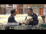 備蓄米2000円台で店頭に コメ価格高騰抑える効果は…(2025年5月31日)