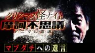 【クリスマス怪ナイト】稲川淳二サンタから【摩訶不思議】な怪談を【プレゼント】「あなたは犬派?猫派?」【アニマル霊魂】「キツネとタヌキに化かされる…」秘められた伝説【鴨川の仙人】【遺影おばさんの謎】