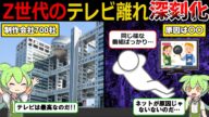 【倒産地獄】テレビ業界が過去一倒産…若者達がテレビを見ない本当の理由は【ずんだもん&ゆっくり解説】