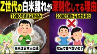 Z世代の「白米離れ」が深刻化してる理由【ずんだもん&ゆっくり解説