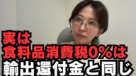 【消費税ゼロ税率】食料品0%は輸出還付金と同じ?!反対派と賛成派、両方が納得するロジックを解説をします。【税理士解説】