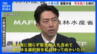 「海外から緊急輸入も検討」 小泉大臣が“備蓄米尽きた後”の可能性として明かす コメ価格安定へ踏み込んだ発言|TBS NEWS DIG