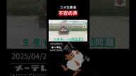 日米関税を巡るコメの輸入拡大案 不安募るコメ生産者「大体いじめられるのが農業関係」
