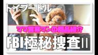 【FBI極秘捜査Ⅱ】犬は、服を着ることを喜んでいるのか?考えてみた【トイプードル】