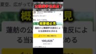【緊急速報】蓮舫氏、まさかの「当選無効」疑惑でトレンド入り！