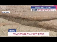 記録的な水不足 農作物は… コメ農家「今年も少なくなるんじゃ…」【スーパーJチャンネル】(2025年8月3日)