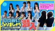 【鬼ミッションも余裕?】五期生冠番組発表会見に潜入したのワシやないかい!【日向坂になりましょう】