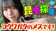 【自由研究】生き物大好き大野愛実が虫採りに行ってみた！【石神井公園】