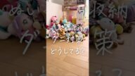 ぬいぐるみのダニ対策 #shorts