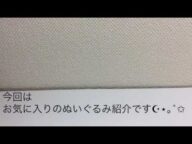 お気に入りのぬいぐるみ紹介꒰◍ᐡᐤᐡ◍꒱