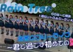 「Rain Tree 真夏のフリーライブ~君と過ごす初めての夏~」ららぽーと横浜 1階セントラルガーデンKiLaLa