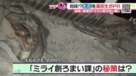 “謎の奇獣”パレオパラドキシアの化石大発見!も知名度不足…高校生が化石のマチPR秘策 岐阜県瑞浪市【マチQ】2022年11月21日放送